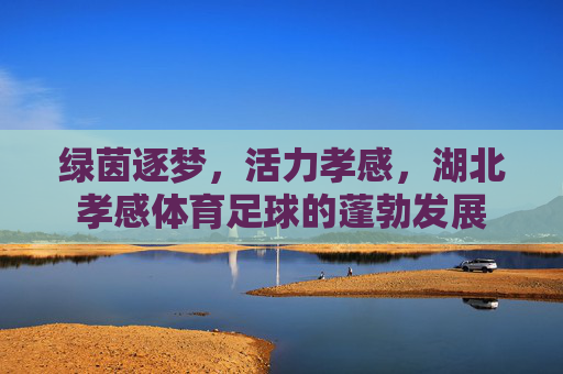 绿茵逐梦，活力孝感，湖北孝感体育足球的蓬勃发展