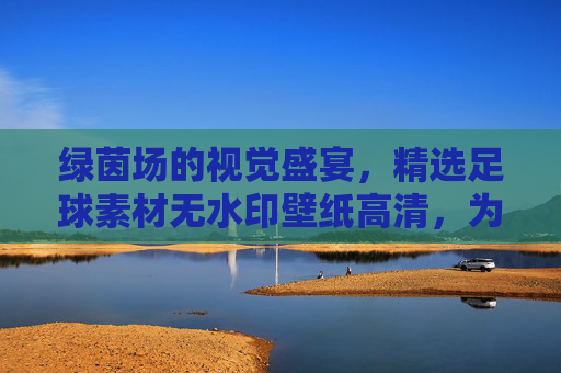 绿茵场的视觉盛宴，精选足球素材无水印壁纸高清，为你的设备注入激情
