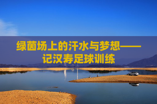 绿茵场上的汗水与梦想——记汉寿足球训练