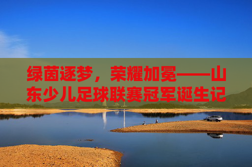 绿茵逐梦,荣耀加冕——山东少儿足球联赛冠军诞生记