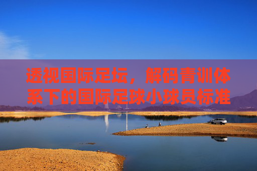 透视国际足坛,解码青训体系下的国际足球小球员标准