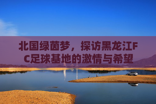 北国绿茵梦,探访黑龙江FC足球基地的激情与希望