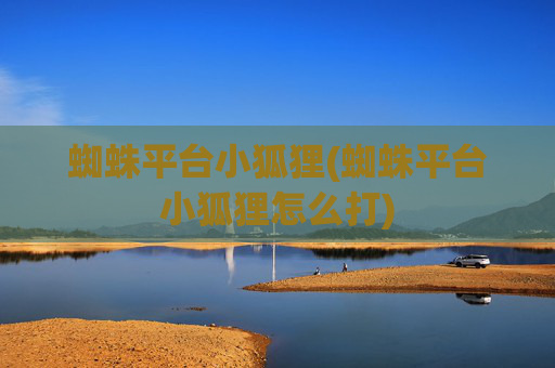 蜘蛛平台小狐狸(蜘蛛平台小狐狸怎么打)