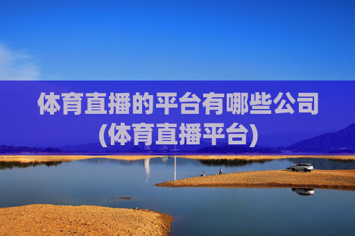 体育直播的平台有哪些公司(体育直播平台)