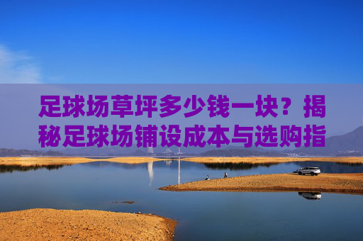 足球场草坪多少钱一块?揭秘足球场铺设成本与选购指南