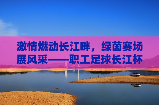 激情燃动长江畔,绿茵赛场展风采——职工足球长江杯联赛侧记