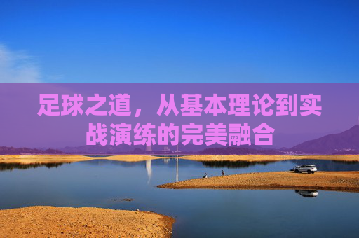 足球之道,从基本理论到实战演练的完美融合