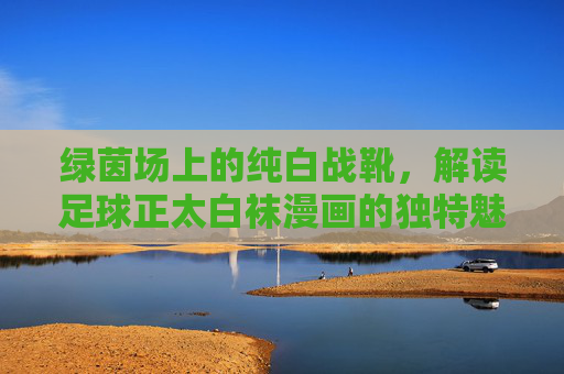 绿茵场上的纯白战靴,解读足球正太白袜漫画的独特魅力