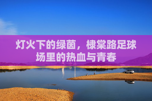 灯火下的绿茵，棣棠路足球场里的热血与青春