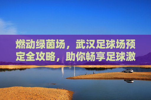 燃动绿茵场，武汉足球场预定全攻略，助你畅享足球激情