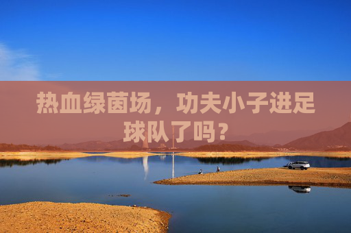 热血绿茵场，功夫小子进足球队了吗？