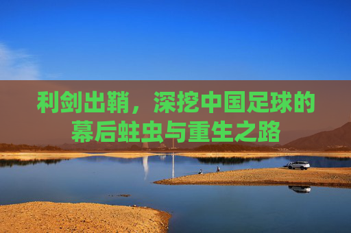 利剑出鞘，深挖中国足球的幕后蛀虫与重生之路