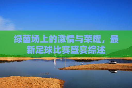 绿茵场上的激情与荣耀，最新足球比赛盛宴综述