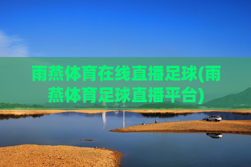 雨燕体育在线直播足球(雨燕体育足球直播平台)