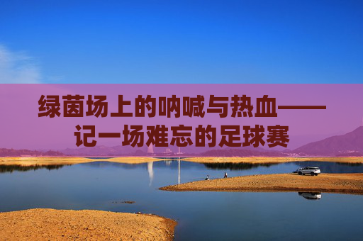 绿茵场上的呐喊与热血——记一场难忘的足球赛