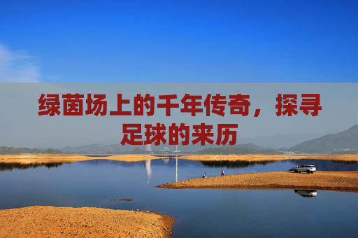 绿茵场上的千年传奇，探寻足球的来历