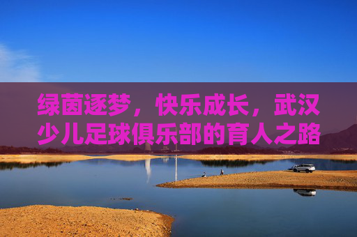 绿茵逐梦，快乐成长，武汉少儿足球俱乐部的育人之路