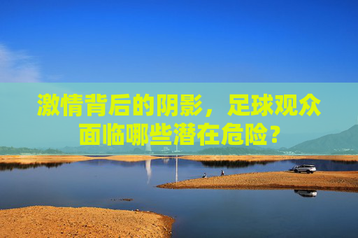 激情背后的阴影，足球观众面临哪些潜在危险？