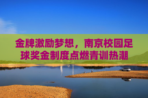 金牌激励梦想，南京校园足球奖金制度点燃青训热潮