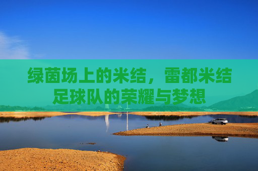 绿茵场上的米结,雷都米结足球队的荣耀与梦想