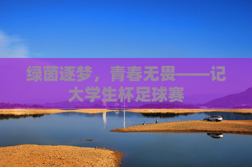 绿茵逐梦,青春无畏——记大学生杯足球赛