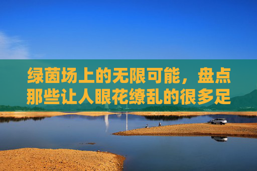 绿茵场上的无限可能,盘点那些让人眼花缭乱的很多足球游戏