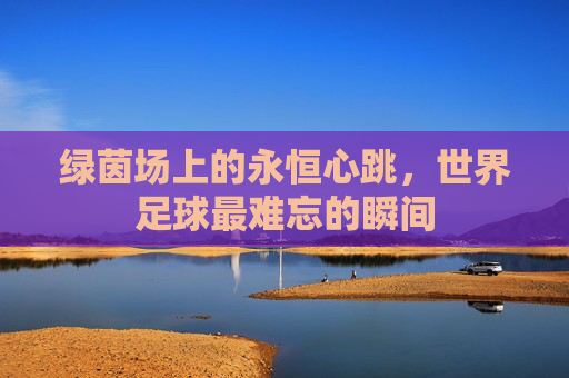 绿茵场上的永恒心跳,世界足球最难忘的瞬间