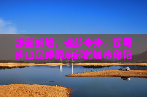绿茵狮城，逐梦未来，探寻佛山足球俱乐部的城市印记