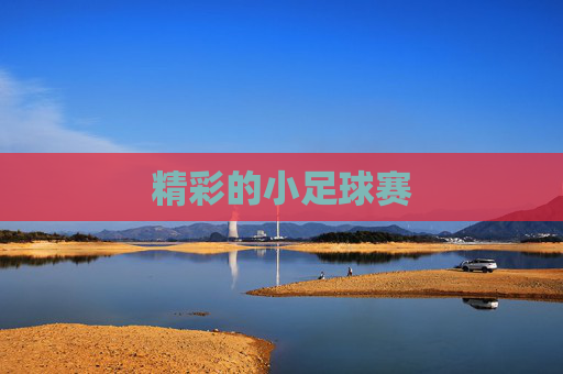 精彩的小足球赛