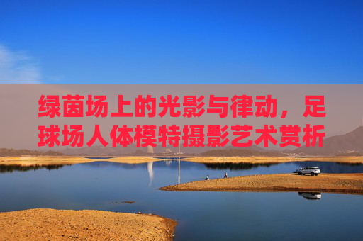 绿茵场上的光影与律动，足球场人体模特摄影艺术赏析
