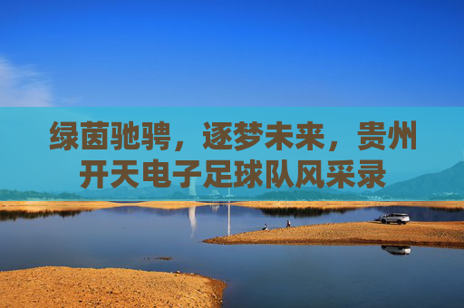 绿茵驰骋,逐梦未来,贵州开天电子足球队风采录