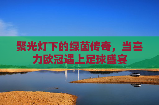 聚光灯下的绿茵传奇，当喜力欧冠遇上足球盛宴