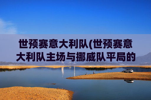 世预赛意大利队(世预赛意大利队主场与挪威队平局的概率大吗)