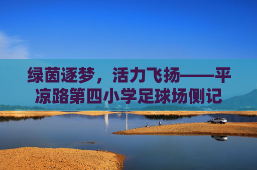 绿茵逐梦，活力飞扬——平凉路第四小学足球场侧记