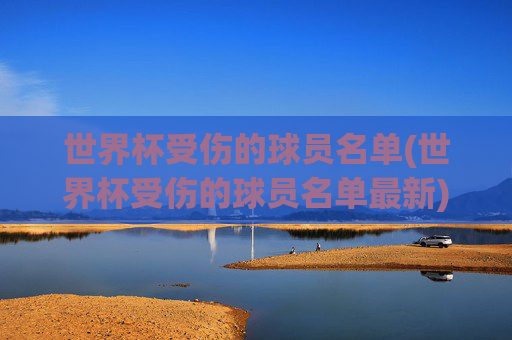 世界杯受伤的球员名单(世界杯受伤的球员名单最新)