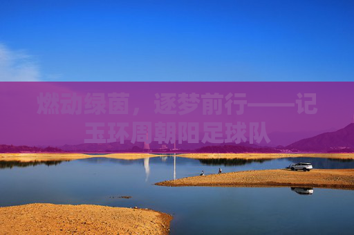 燃动绿茵,逐梦前行——记玉环周朝阳足球队