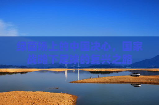 绿茵场上的中国决心，国家战略下足球的复兴之路