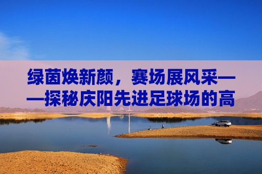 绿茵焕新颜,赛场展风采——探秘庆阳先进足球场的高品质草坪