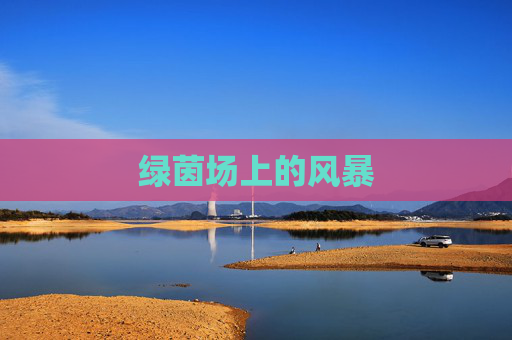绿茵场上的风暴