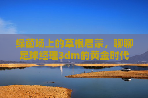 绿茵场上的草根启蒙,聊聊足球经理3dm的黄金时代