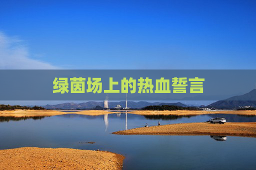 绿茵场上的热血誓言
