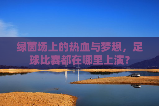 绿茵场上的热血与梦想，足球比赛都在哪里上演？