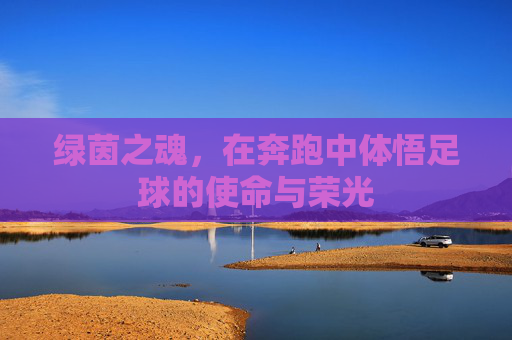 绿茵之魂,在奔跑中体悟足球的使命与荣光
