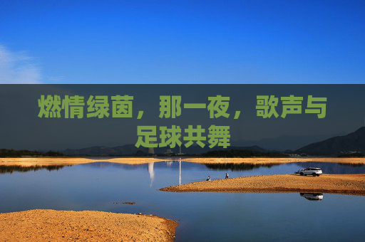 燃情绿茵，那一夜，歌声与足球共舞