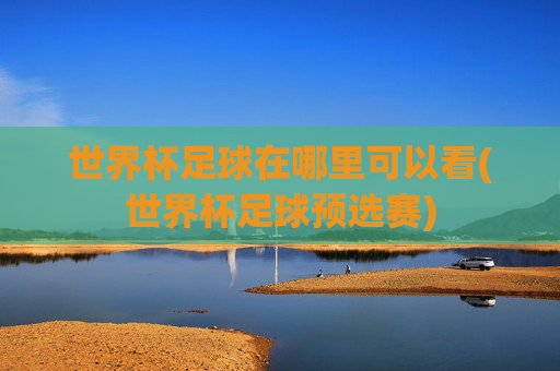 世界杯足球在哪里可以看(世界杯足球预选赛)