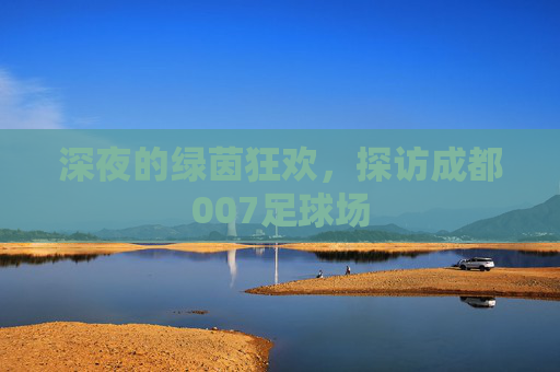 深夜的绿茵狂欢,探访成都007足球场