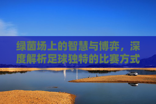 绿茵场上的智慧与博弈，深度解析足球独特的比赛方式