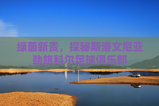 绿茵新贵,探秘斯洛文尼亚劲旅科尔足球俱乐部
