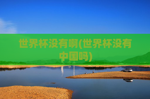 世界杯没有啊(世界杯没有中国吗)