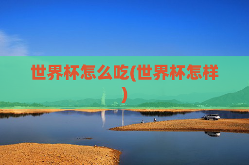 世界杯怎么吃(世界杯怎样)